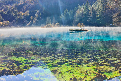 【Charming Sichuan + Land of Abundance】7-Day 6-Night Quality Tour | 5A Jiuzhaigou + Huanglong + Emei + Leshan